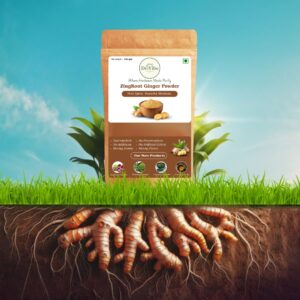 zingroot ginger powder